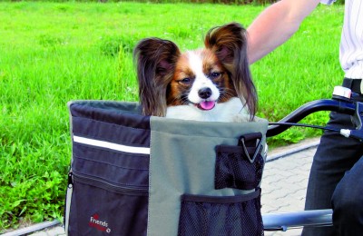Portable pooches: a guide to pet carrier bags