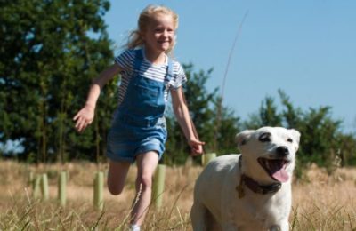 Are pets good for your child’s health?