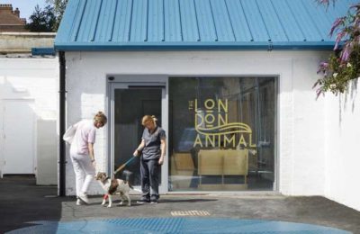 Redefining the vet visit: How this London clinic raises the bar in pet health and wellbeing